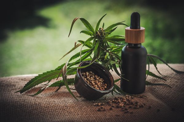 Naturalne wspomaganie organizmu psa - co powinieneś wiedzieć?